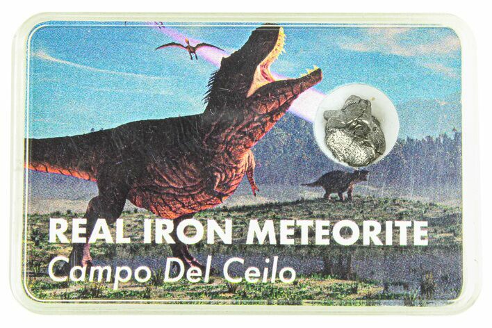 Campo del Cielo Iron Meteorite with Case - Argentina - Photo 1